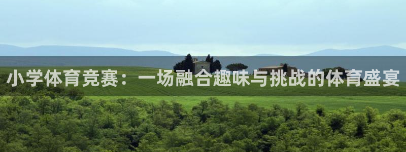 杏彩xc体育免费注册入口：小学体育竞赛：一场融合趣味与挑战的体育盛宴